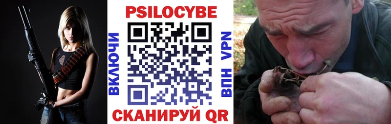 как найти закладки  Торопец  Галлюциногенные грибы GOLDEN TEACHER 